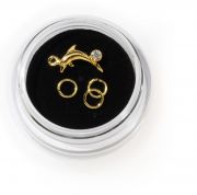 Piercing Ring Delphin, gold